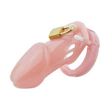 Carica l'immagine nel visualizzatore di Gallery, Chastity Cage For Beginners – material and construction details, gallery view 1