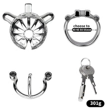 Load image into Gallery viewer, Removable PA Chastity Cage- 8