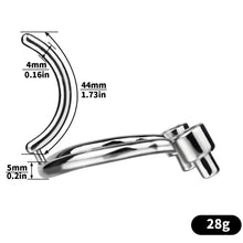 Load image into Gallery viewer, Removable PA Chastity Cage- 12