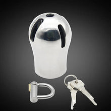 Carica l'immagine nel visualizzatore di Gallery, Stainless Steel PA Lock Cock Cage with D-Ring