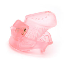 Load image into Gallery viewer, The Chaste Companion β product design details, gallery view 1 from the CAGINK product page