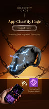 Cargar imagen en el visor de la galería, Lockink App Chastity Cage Remotely - -6