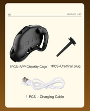Cargar imagen en el visor de la galería, Lockink App Chastity Cage Remotely - product list