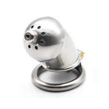 Load image into Gallery viewer, Bird Cage Lock β locking components and key details, gallery view 4 from the CAGINK product page