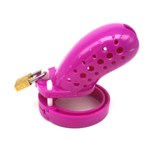 Load image into Gallery viewer, Cage For Penis