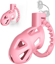 Load image into Gallery viewer, Chastity Cage with 8 Adjustable Cock Ring