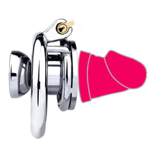 Load image into Gallery viewer, Cock In Chastity With Dildo
