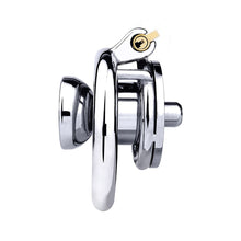 Load image into Gallery viewer, Cock In Chastity With Dildo