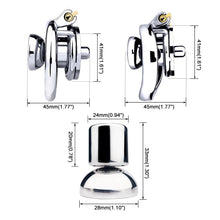 Load image into Gallery viewer, Cock In Chastity With Dildo