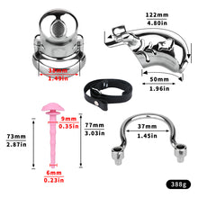 Carica l'immagine nel visualizzatore di Gallery, Dolphin Steel Chastity Cage with Anti-ring Removable - size
