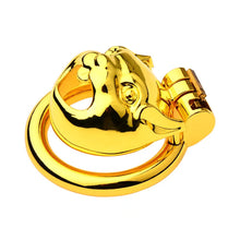 Carica l'immagine nel visualizzatore di Gallery, Golden Flat Metal Chastity Device