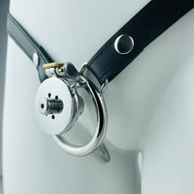 Load image into Gallery viewer, Inverted Penis Cage