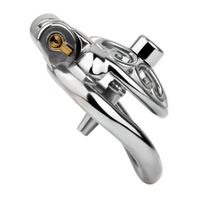 Load image into Gallery viewer, Locked In Love Chastity Cage