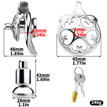 Load image into Gallery viewer, Locked In Love Chastity Cage