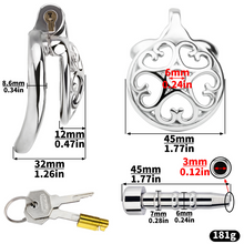 Load image into Gallery viewer, Locked In Love Chastity Cage