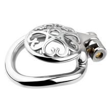 Load image into Gallery viewer, Locked In Love Chastity Cage