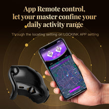Cargar imagen en el visor de la galería, Lockink App Chastity Cage Remotely - 4