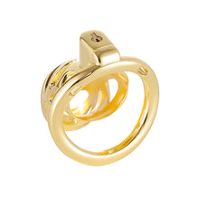 Cargar imagen en el visor de la galería, Luxury Chastity Cage