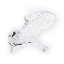 Load image into Gallery viewer, Male Chastity Gear