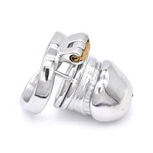 Load image into Gallery viewer, Male Chastity Lock – locking components and key details, gallery view 6