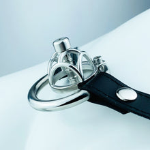 Load image into Gallery viewer, Micro Chastity Cage