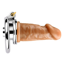 Carica l'immagine nel visualizzatore di Gallery, Negative Chastity Device & Detachable Dildo