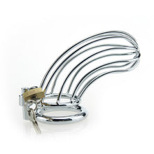 Load image into Gallery viewer, Permanent Chastity Lock β locking components and key details, gallery view 1