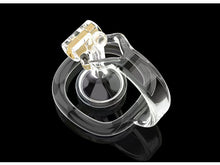 Carica l'immagine nel visualizzatore di Gallery, Reverse Chastity Cage