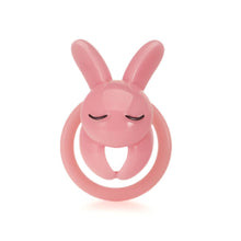 Carica l'immagine nel visualizzatore di Gallery, Rogue Rabbit CB Chastity Cage 23
