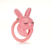 Carica l'immagine nel visualizzatore di Gallery, Rogue Rabbit CB Chastity Cage 21