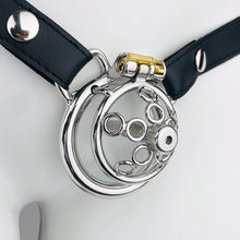 Load image into Gallery viewer, Sexy Chastity Cage
