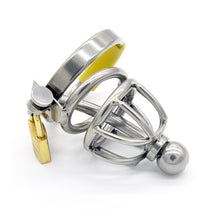 Load image into Gallery viewer, Shield of Chastity