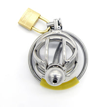 Load image into Gallery viewer, Shield of Chastity