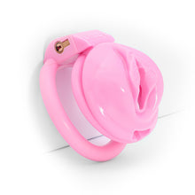 Carica l'immagine nel visualizzatore di Gallery, Sissy Labia Chastity Cage