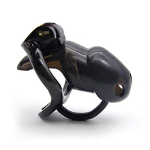 Load image into Gallery viewer, Sissy In Cage