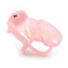 Load image into Gallery viewer, Sissy In Cage