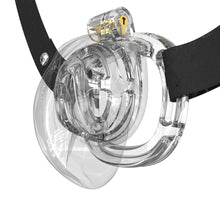 Load image into Gallery viewer, Sissys in Chastity Bondage – product design details, gallery view 2 from the CAGINK product page