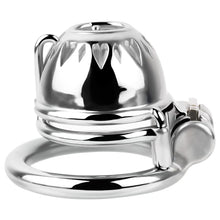 Load image into Gallery viewer, Small Chastity Cage with PA -4