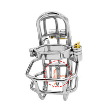 Load image into Gallery viewer, Stainless Steel Detachable PA Puncture Chastity Cage