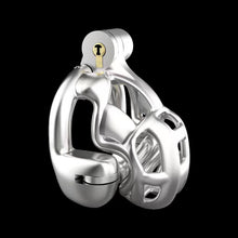 Load image into Gallery viewer, Double-Lock Mamba Stainless Steel Cock Cage – locking components and key details, gallery view 1