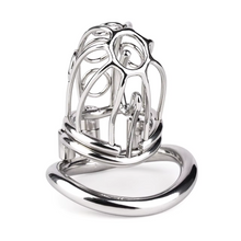 Carica l'immagine nel visualizzatore di Gallery, Steel Chastity Device with PA