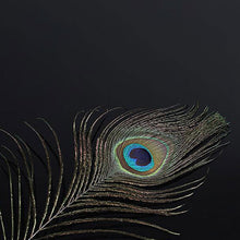 Load image into Gallery viewer, Sexual Flirtation Feather Set