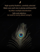 Load image into Gallery viewer, Sexual Flirtation Feather Set