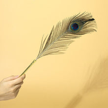 Load image into Gallery viewer, Sexual Flirtation Feather Set