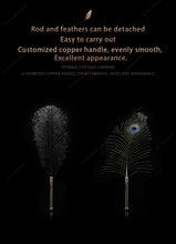 Load image into Gallery viewer, Sexual Flirtation Feather Set