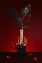 Load image into Gallery viewer, Sexual Flirtation Feather Set