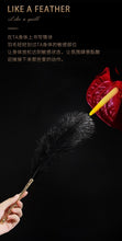 Load image into Gallery viewer, Sexual Flirtation Feather Set