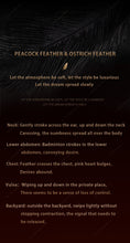 Load image into Gallery viewer, Sexual Flirtation Feather Set