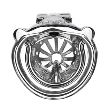 Cargar imagen en el visor de la galería, Removable PA Chastity Cage-2
