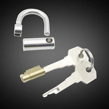 Load image into Gallery viewer, Stainless Steel PA Lock Cock Cage with D-Ring
